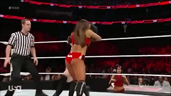 paige,nikki-bella