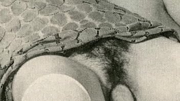 hairy,retro,sister,vintage,hairy-pussy,family-taboo,sister-and-brother,taboo-family,brother-sister-sex,retro-fucking,retro-blowjob