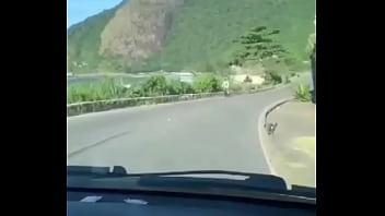 251,cavalinho-rj