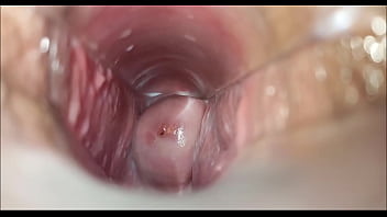 pussy,closeup,orgasm,vaginal,orgasmo,pussy-inside